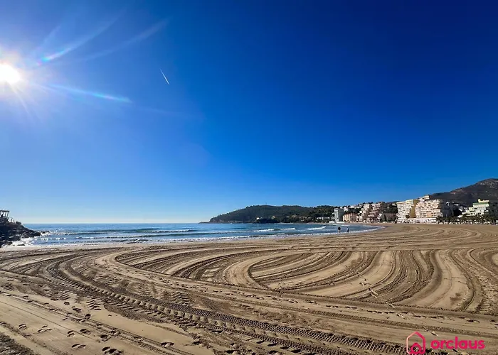 El Senorio De La Concha